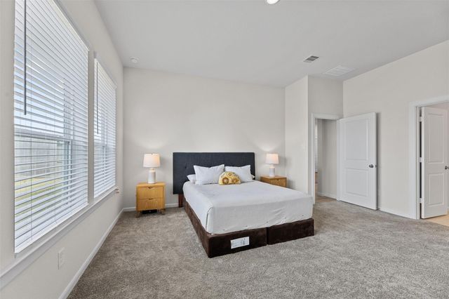 17039 Luminous Lane, Hockley, TX 77447