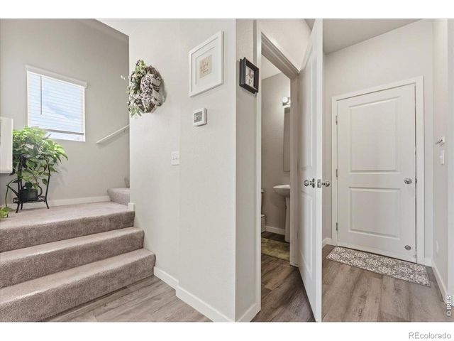 710 Oregon Trail 4, Ault, CO 80610