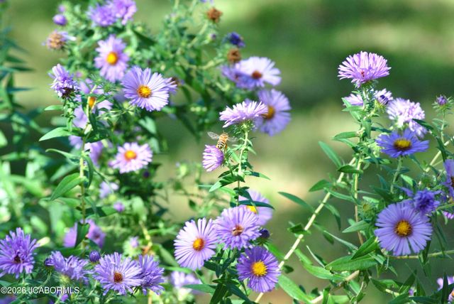 706 NELSON DRIVE, Jefferson City, MO 65101