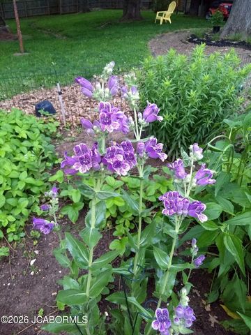 706 NELSON DRIVE, Jefferson City, MO 65101