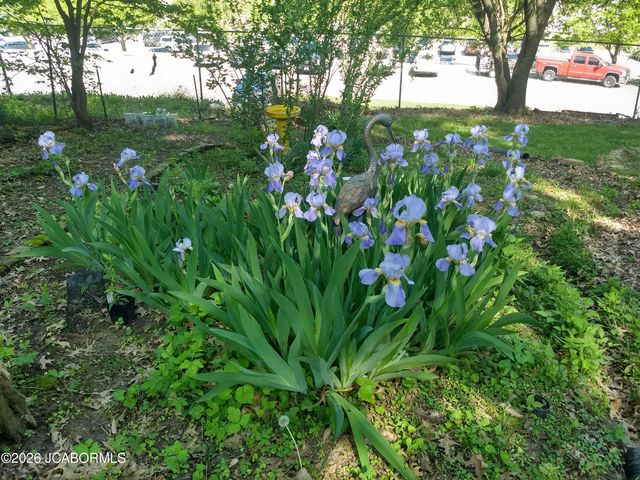 706 NELSON DRIVE, Jefferson City, MO 65101