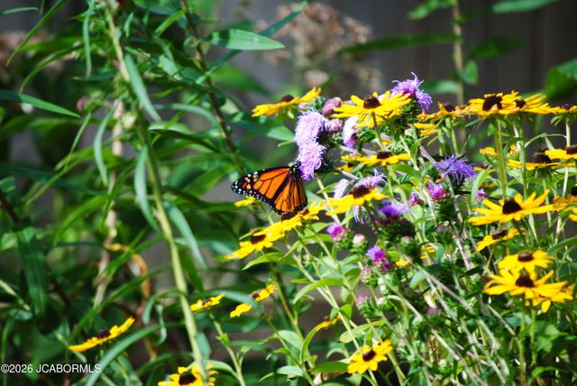 706 NELSON DRIVE, Jefferson City, MO 65101