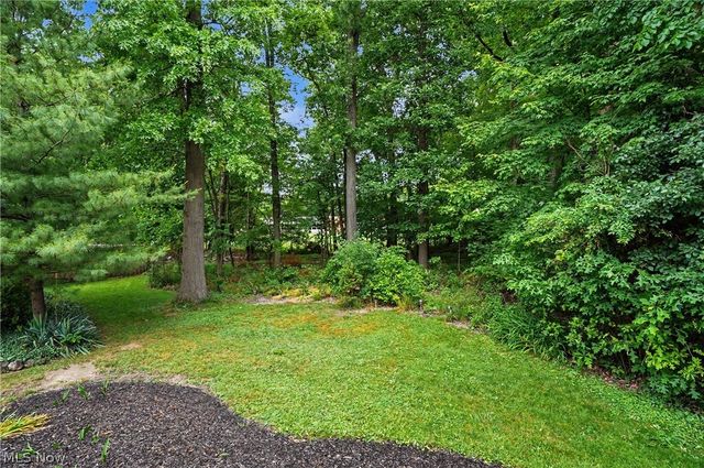553 N Briarcliff Drive, Canfield, OH 44406