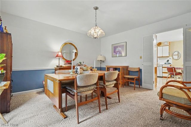 553 N Briarcliff Drive, Canfield, OH 44406