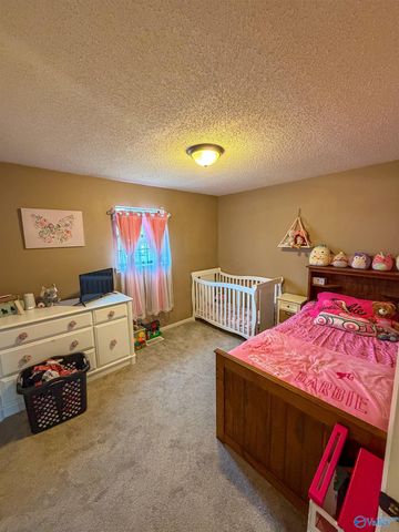 508 Pickens Street SE, Attalla, AL 35954