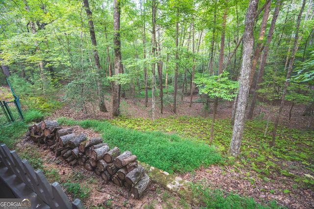 149 River Ridge Road, Blue Ridge, GA 30513
