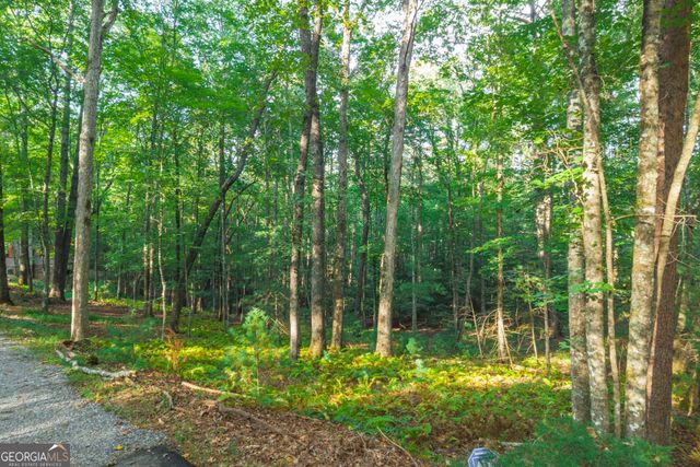 149 River Ridge Road, Blue Ridge, GA 30513