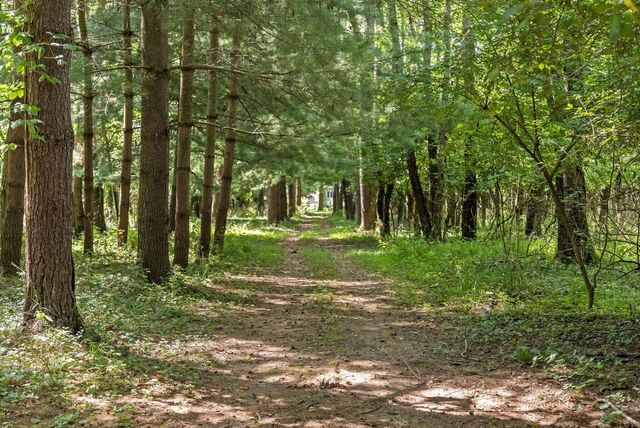11775 Woodtown Road, Galena, OH 43021