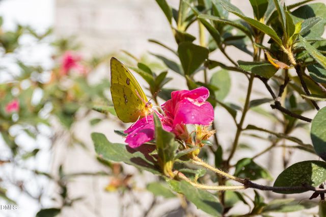 3425 Coach Lantern Avenue, Wake Forest, NC 27587