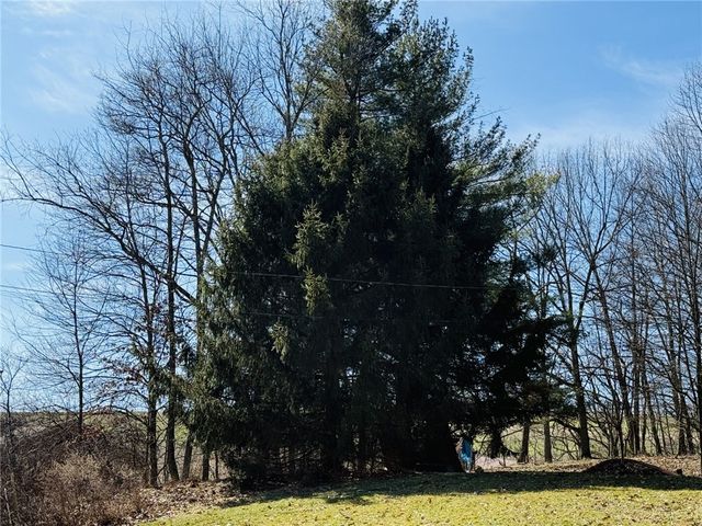 4788 Wexford Run Road, Bradford Woods, PA 15090