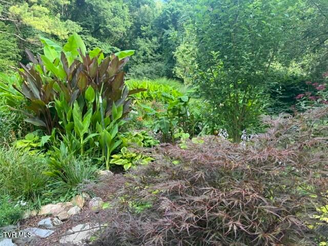 235 Shipley Ferry Road, Blountville, TN 37617