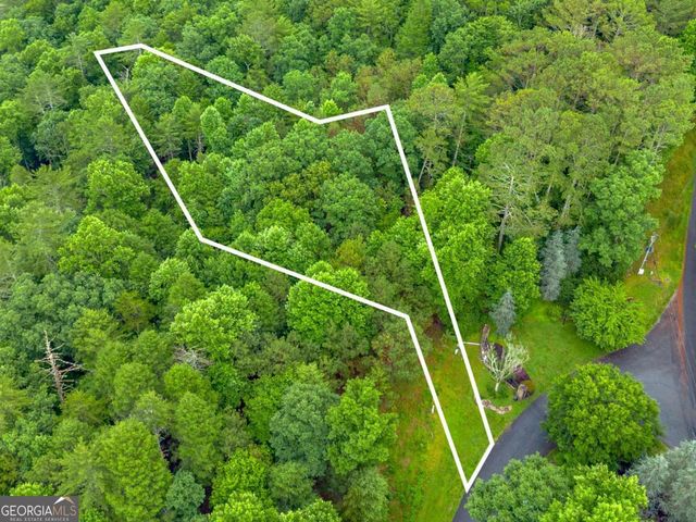 0 Roaring Forks Lane, East Ellijay, GA 30540