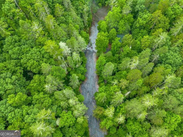0 Roaring Forks Lane, East Ellijay, GA 30540