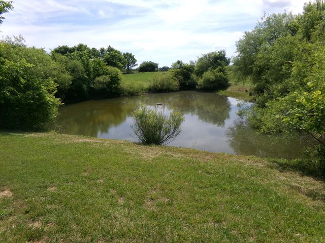 3884 Stepstone Road, Owingsville, KY 40360