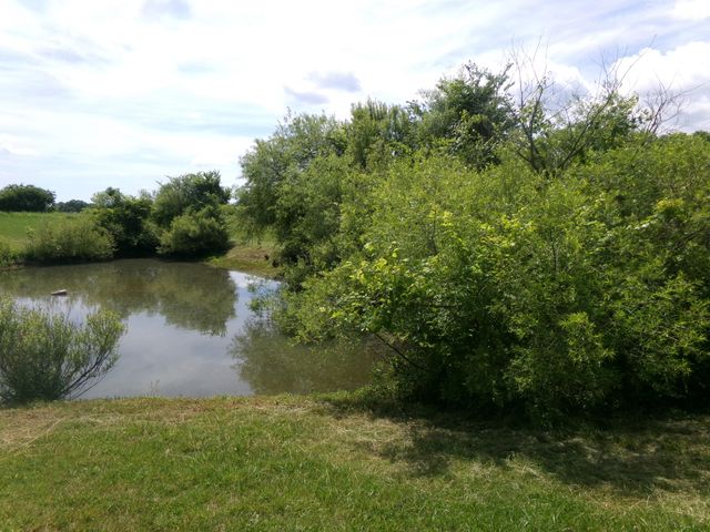 3884 Stepstone Road, Owingsville, KY 40360
