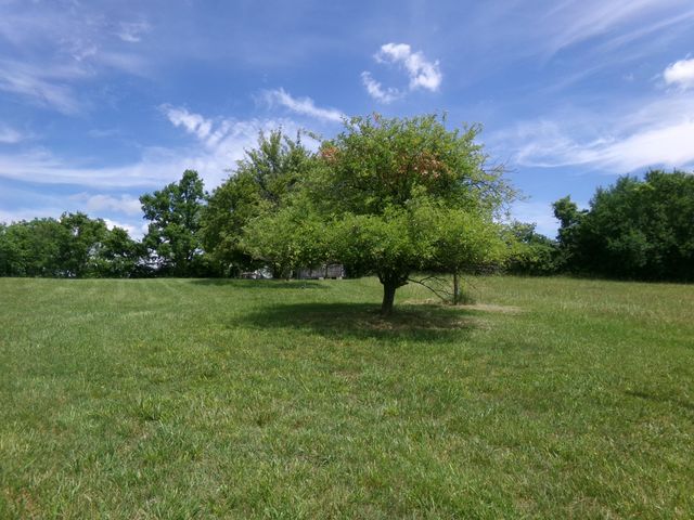 3884 Stepstone Road, Owingsville, KY 40360