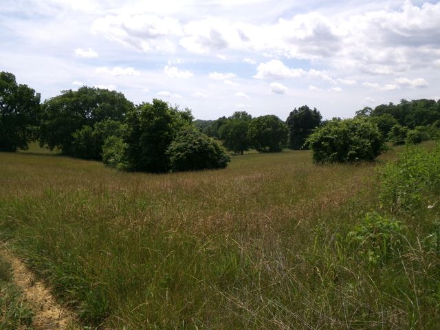 3884 Stepstone Road, Owingsville, KY 40360