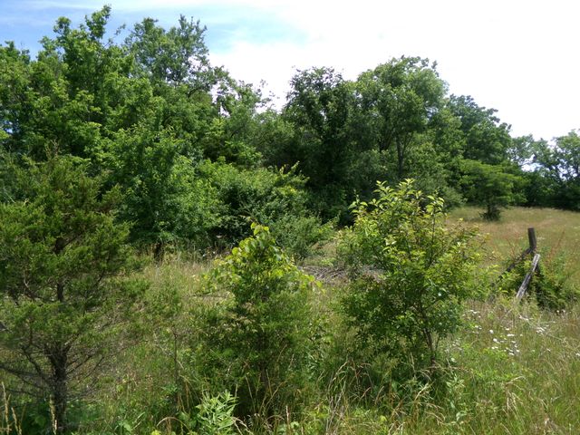 3884 Stepstone Road, Owingsville, KY 40360