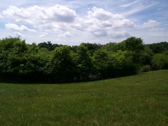 3884 Stepstone Road, Owingsville, KY 40360