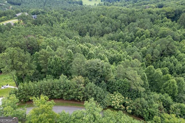 LOT 82 Thirteen Hundred, Blairsville, GA 30512