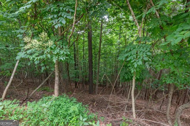 LOT 82 Thirteen Hundred, Blairsville, GA 30512