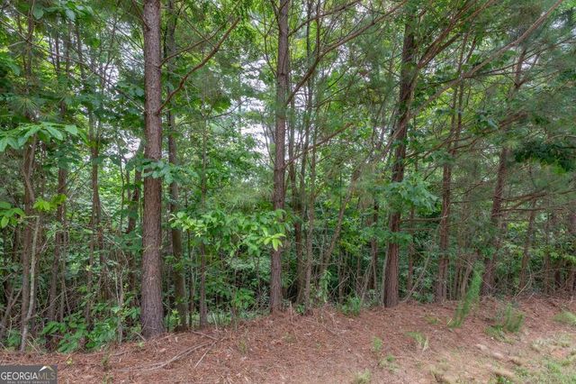 LOT 82 Thirteen Hundred, Blairsville, GA 30512