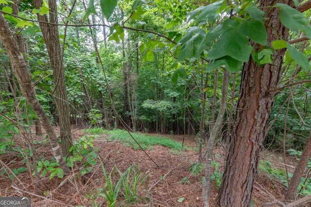 LOT 82 Thirteen Hundred, Blairsville, GA 30512