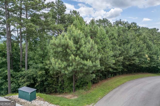 LOT 82 Thirteen Hundred, Blairsville, GA 30512