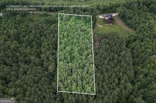 LOT 82 Thirteen Hundred, Blairsville, GA 30512