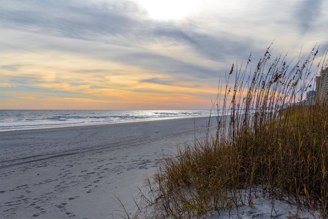 1058 Sea Mountain Hwy Unit 4203, North Myrtle Beach, SC 29582