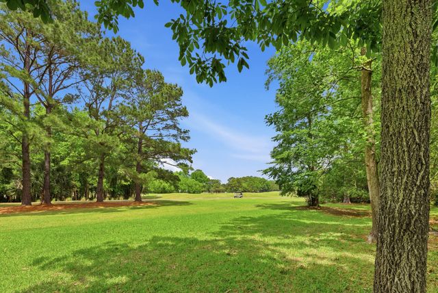 3314 Cottonfield Drive, Mount Pleasant, SC 29466