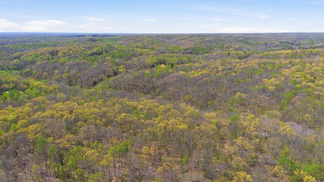 0 Opossum Hollow Rd, Primm Springs, TN 38476
