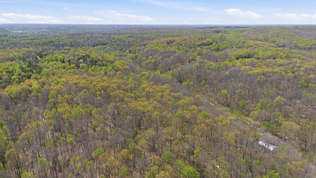 0 Opossum Hollow Rd, Primm Springs, TN 38476