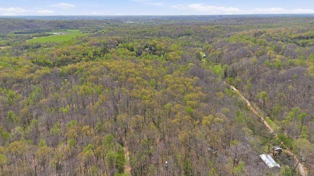 0 Opossum Hollow Rd, Primm Springs, TN 38476