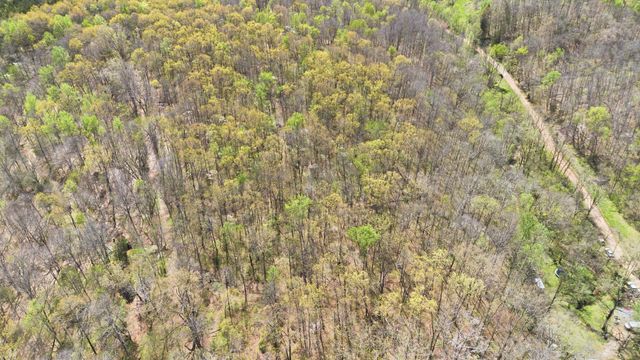 0 Opossum Hollow Rd, Primm Springs, TN 38476