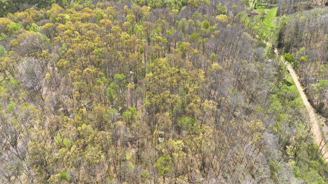 0 Opossum Hollow Rd, Primm Springs, TN 38476