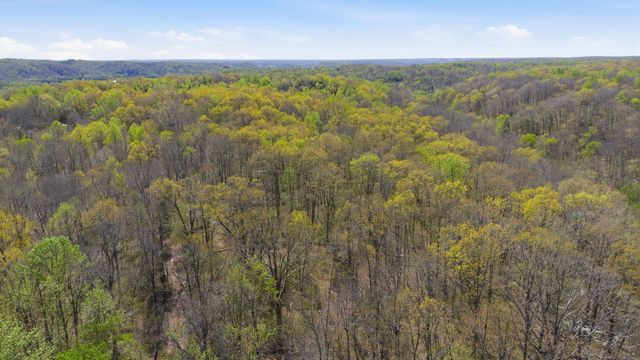 0 Opossum Hollow Rd, Primm Springs, TN 38476