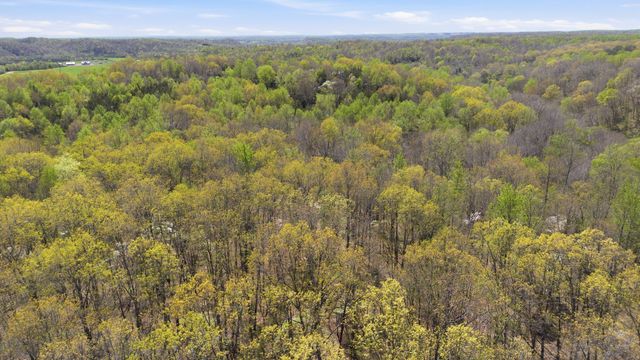 0 Opossum Hollow Rd, Primm Springs, TN 38476