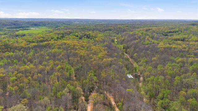 0 Opossum Hollow Rd, Primm Springs, TN 38476
