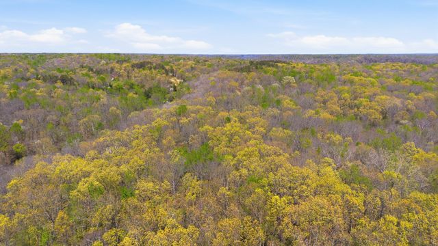0 Opossum Hollow Rd, Primm Springs, TN 38476