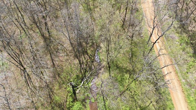 0 Opossum Hollow Rd, Primm Springs, TN 38476