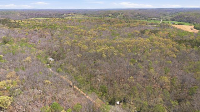 0 Opossum Hollow Rd, Primm Springs, TN 38476