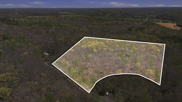 0 Opossum Hollow Rd, Primm Springs, TN 38476