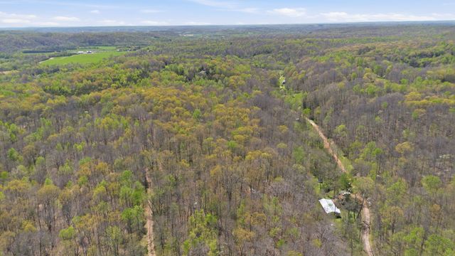0 Opossum Hollow Rd, Primm Springs, TN 38476