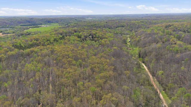 0 Opossum Hollow Rd, Primm Springs, TN 38476