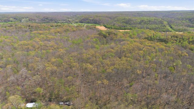 0 Opossum Hollow Rd, Primm Springs, TN 38476