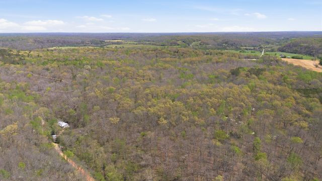 0 Opossum Hollow Rd, Primm Springs, TN 38476