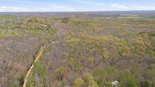 0 Opossum Hollow Rd, Primm Springs, TN 38476