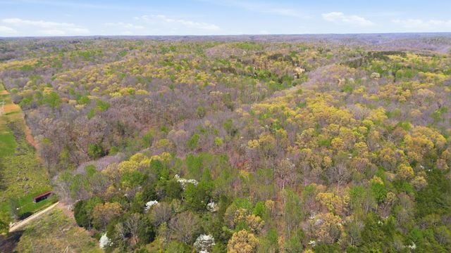 0 Opossum Hollow Rd, Primm Springs, TN 38476