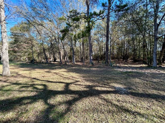 16327 Lone Star Ranch Drive, Conroe, TX 77302